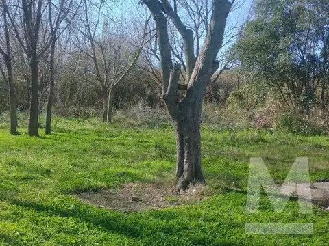 3 de Abril entre 65 y Bagliardi, Los talas, Berisso