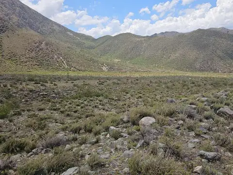 Terreno en Venta - Potrerillos - Mendoza