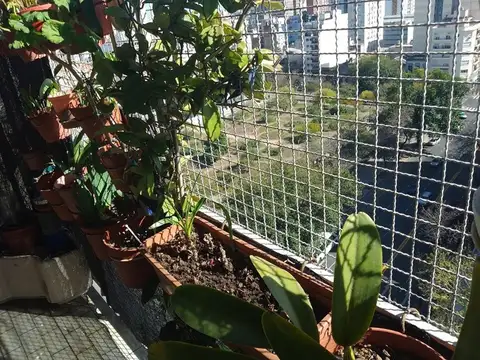 Avenida Jujuy 400, Piso 12