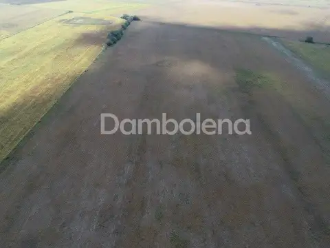 Terreno  en Venta ubicado en Alvear, Rosario, Santa Fe - DAM1561_LP439303_1