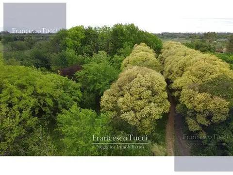Terreno en Venta de 122447,0 m2