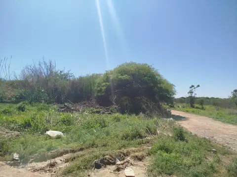 Terreno en Venta de 61556,0 m2