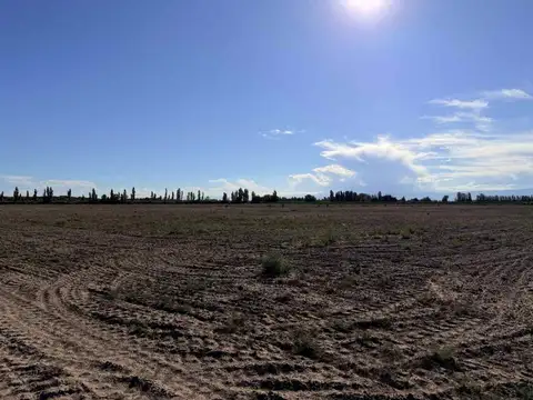 FINCA PRODUCTIVA EN VENTA EN MENDOZA