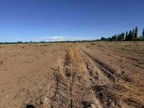 FINCA PRODUCTIVA EN VENTA EN MENDOZA