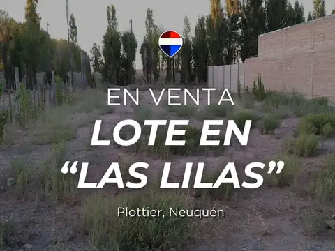 VENTA LOTE LAS LILAS