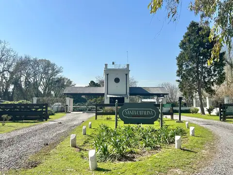 RUTA 6, KM 100