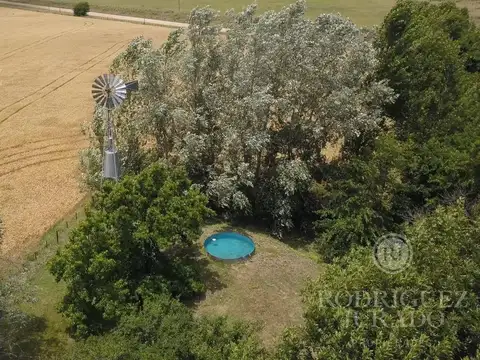 Campo de 27Ha San Antonio de Areco