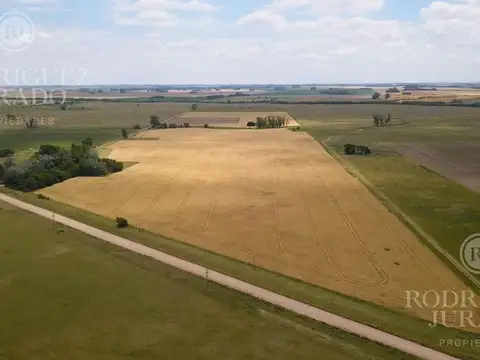 Ruta 31 - San Antonio de Areco