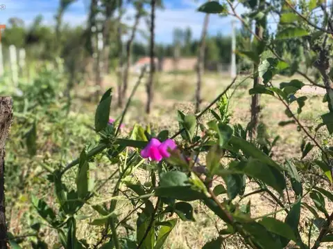 Terreno en Venta en General Fernandez Oro, General Roca