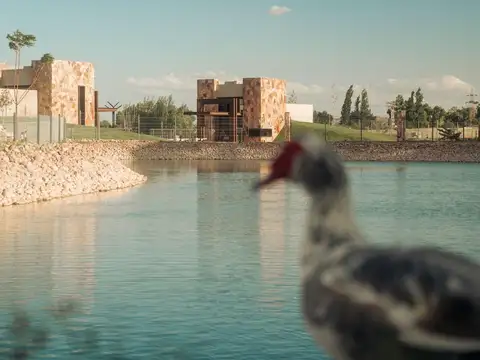 Terreno en Venta en Vistalba, USD 48.196