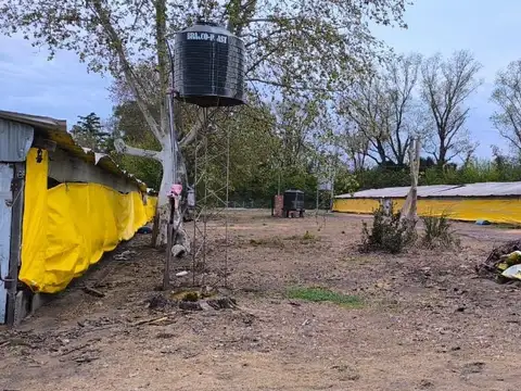Terreno en Venta de 45000,0 m2