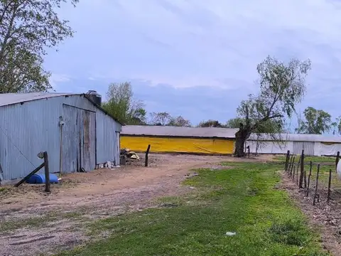 AV SARMIENTO 100