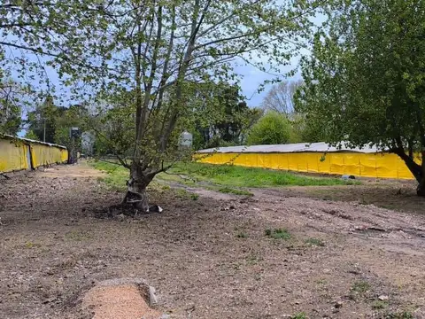 GRANJA DE POLLOS EN PEDERNALES