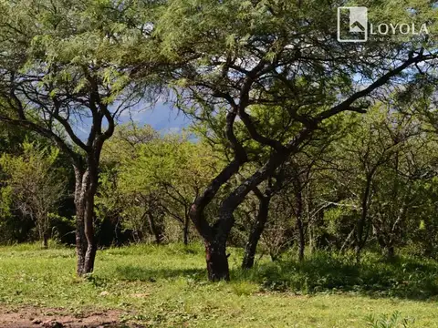 Terreno en Venta en Cerro De Oro, USD 22.000