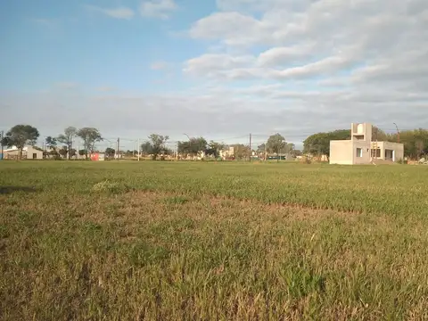 Ruta A 174