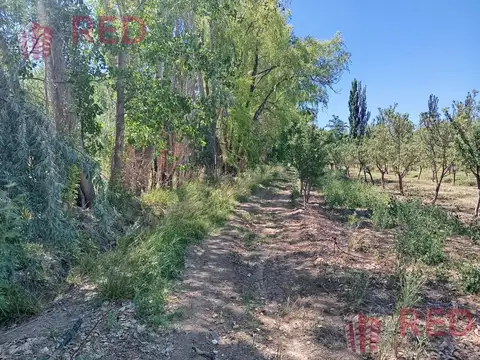 Vende Chacra con produccion Activa en Cinco Saltos