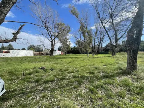 Terreno en Venta 65  mts Fondo