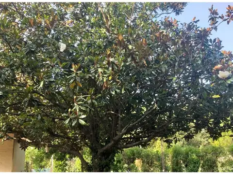 Casa en Venta en Barrio Chapadmalal, USD 320.000