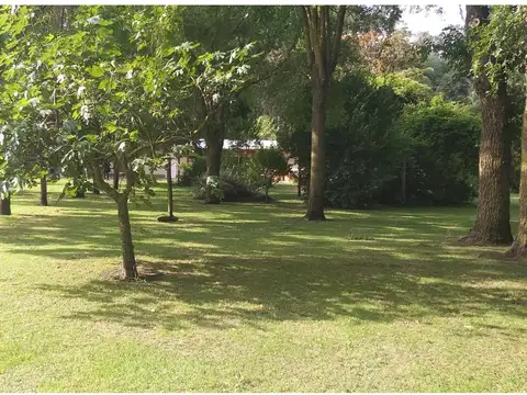 Santa Isabel 700
