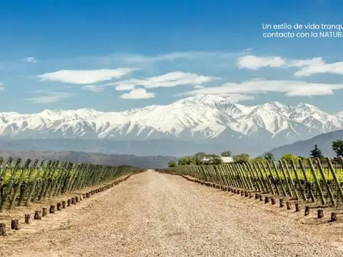 Viamonte al 1000