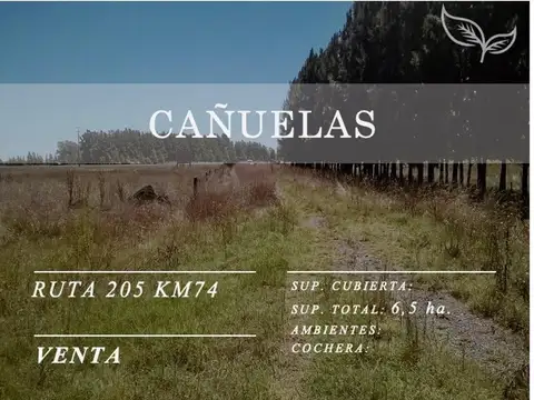 Ruta 205, Km 74