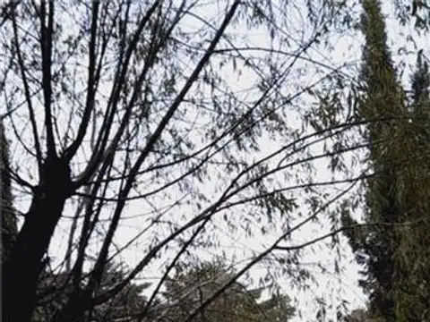 Excelente CASA QUINTA sobre 4 hectáreas en Astolfi