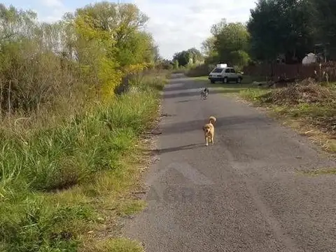 Terreno en Venta de 1700,0 m2