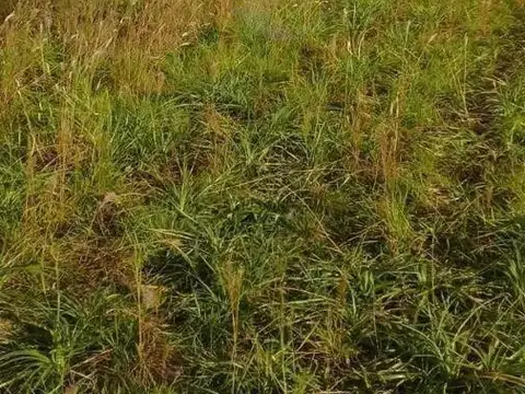 Terreno en Venta en Exaltacion De La Cruz, USD 30.000