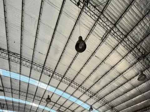 Colectora José María Rosa al 1500