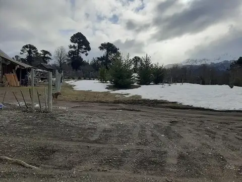 Terreno en Venta de 1300,0 m2
