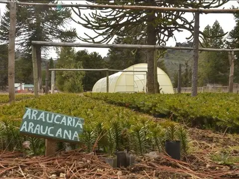 Terreno en Venta en Moquehue, USD 55.000