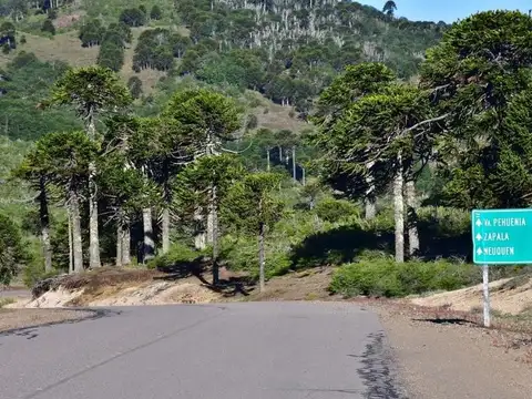 TERRENO EN VENTA EN MOQUEHUE
