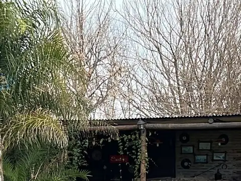 neuquen 1132