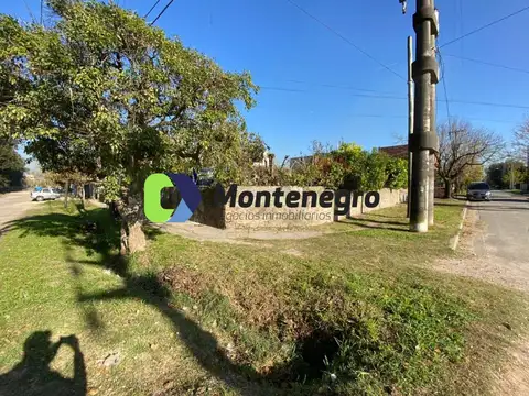 Calle 55 6500