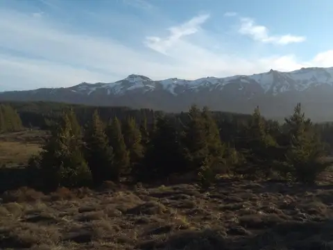 Ruta 237