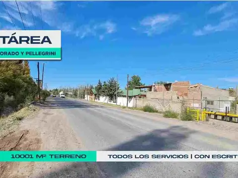 HECTÁREA SOBRE CALLE RÍO COLORADO - NEUQUÉN