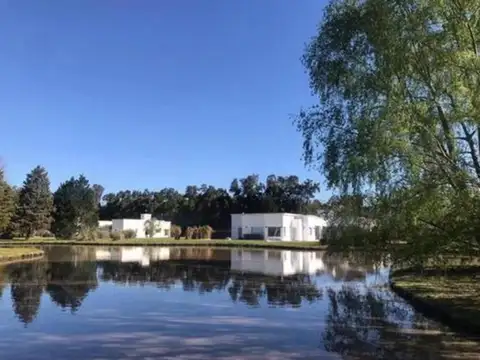 CASUARINAS DEL PILAR 1.614 M2