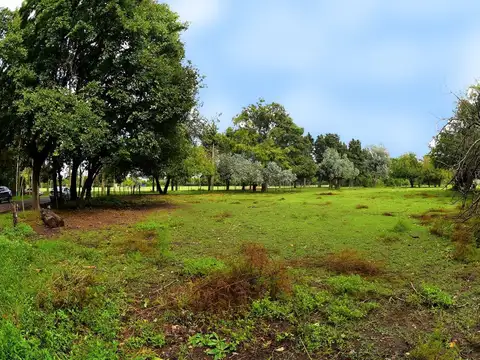 VENTA LOTE 7239.3M2 TORTUGUITAS CENTRO ESCRITURA