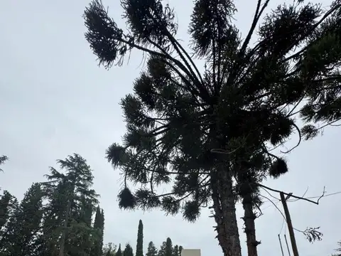 CASA A LA VENTA -PETION