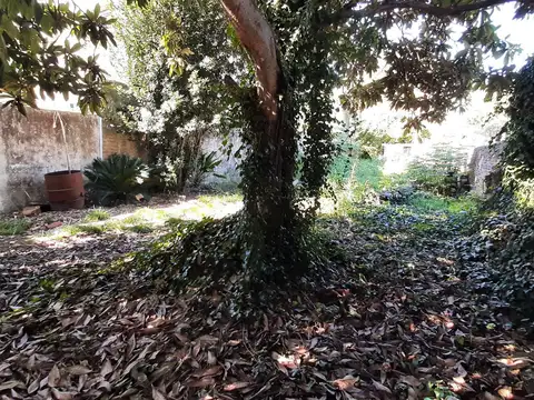 Terreno en Venta de 320,0 m2