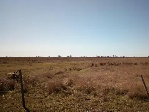 204 Has zona Sarmiento