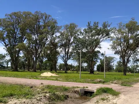 Terreno en Venta en Reconquista, USD 30.000