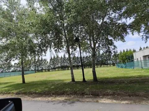 Terreno en Venta 20  mts Frente