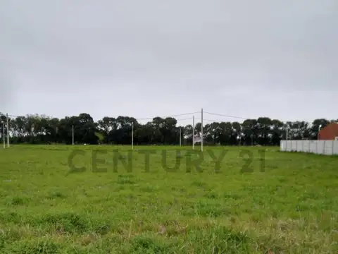 Lote 218 100, Piso 0