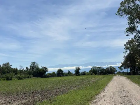 Campo sobre Ruta 306, Leales