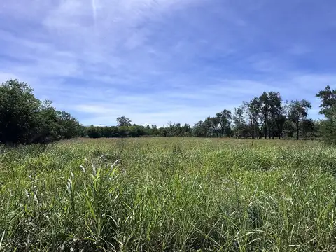 Campo sobre Ruta 306, Leales