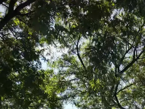 Terreno en venta de 1402m2, ubicado en Praderas de San Lorenzo 100