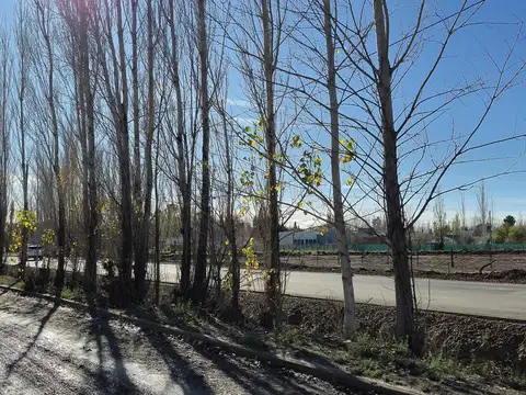EN VENTA DÚPLEX 2DORM + ESCRITORIO | B° RINCÓN LINDO - CIPOLLETTI | EN CONSTRUCCIÓN