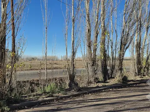 Depto Tipo Casa 4 ambientes con 1 baño