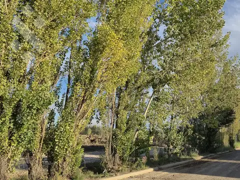 EN VENTA DÚPLEX 2DORM + ESCRITORIO | B° RINCÓN LINDO - CIPOLLETTI | EN CONSTRUCCIÓN
